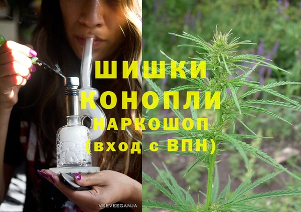 шишки Белоозёрский