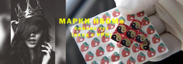 шишки Белоозёрский