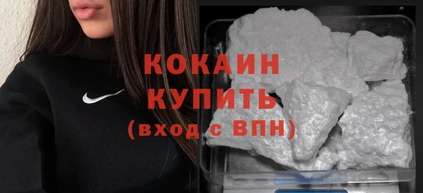 шишки Белоозёрский