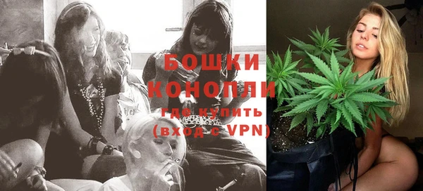 шишки Белоозёрский