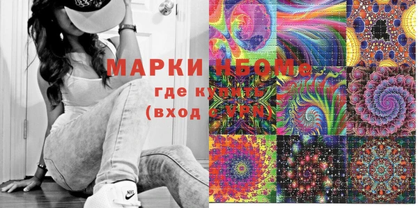 шишки Белоозёрский