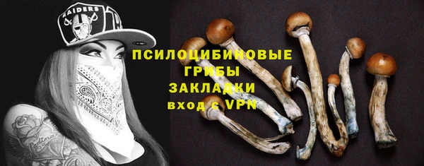шишки Белоозёрский