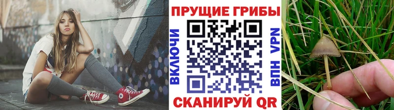 Псилоцибиновые грибы MAGIC MUSHROOMS  Горячеводский 